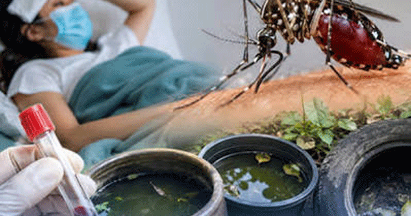 ඩෙංගු අවදානම අගෝස්තු තෙක්