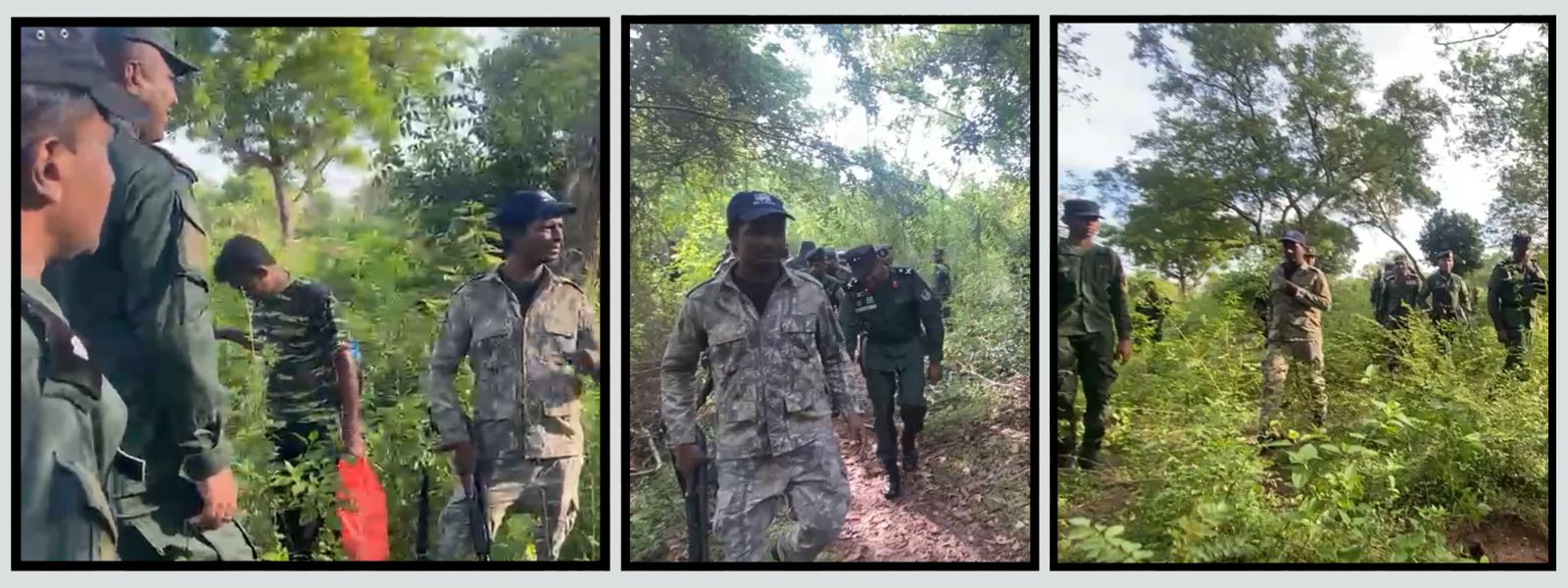 Army Deploys 30-Member Team To Locate Tusker 'Agbo'