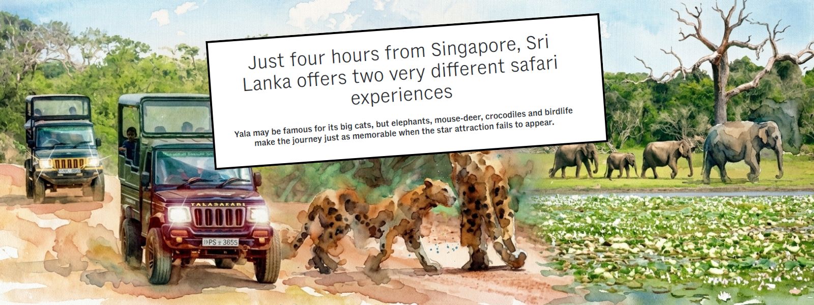 Channel News Asia Puts Sri Lanka's Safari Tourism in the Global Spotlight