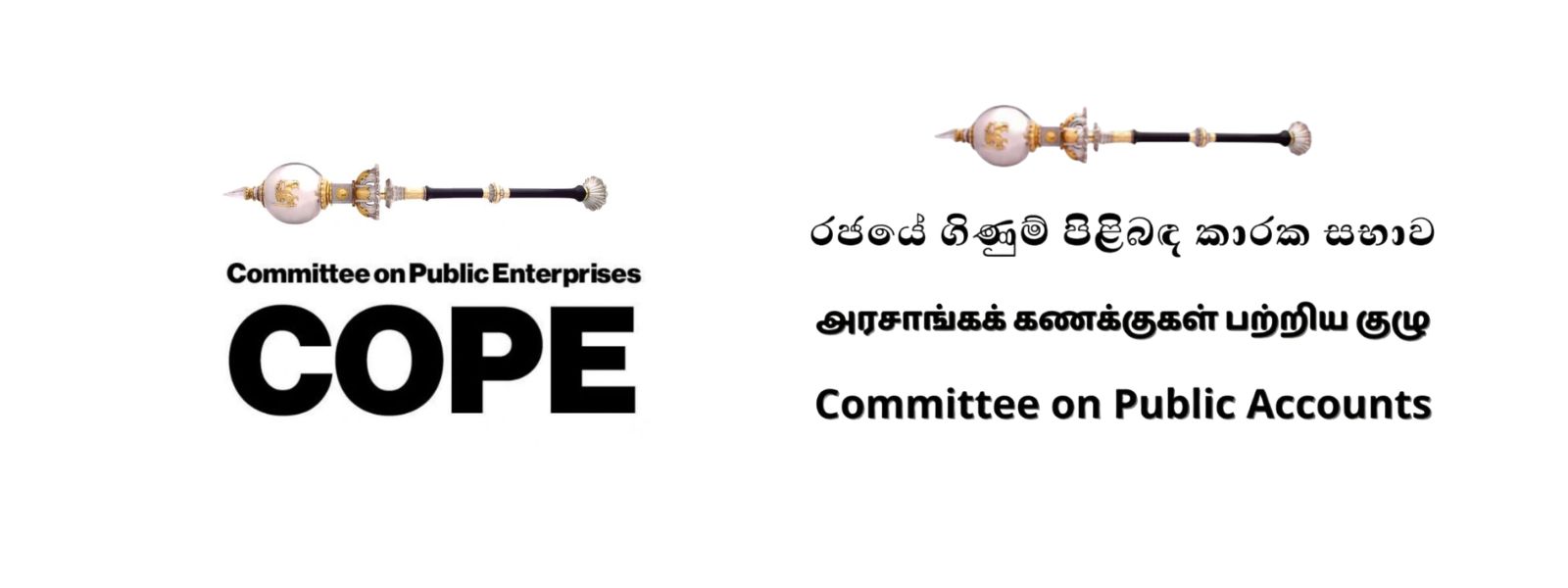 COPE, COPA Reports Can Now Trigger CID, Bribery Probes