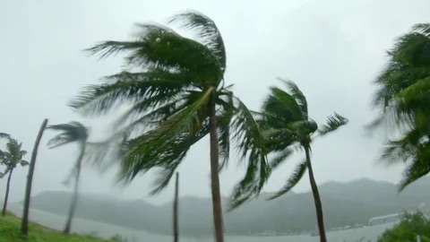 Sunday: Showers and strong winds forecast for several areas