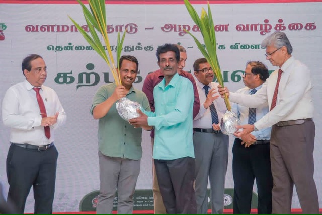 Northern Coconut Triangle: Mullaitivu growers get Rs. 22.7m in subsidies
