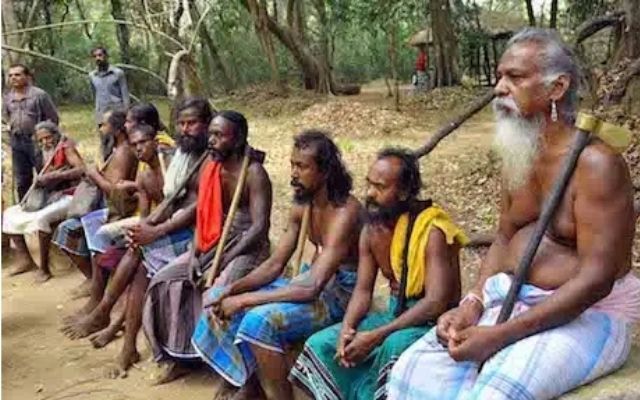 Cabinet approves new regulations to protect indigenous livelihood rights