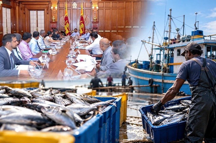 Nearly 40% of Sri Lanka’s fish production lost to post-harvest wastage