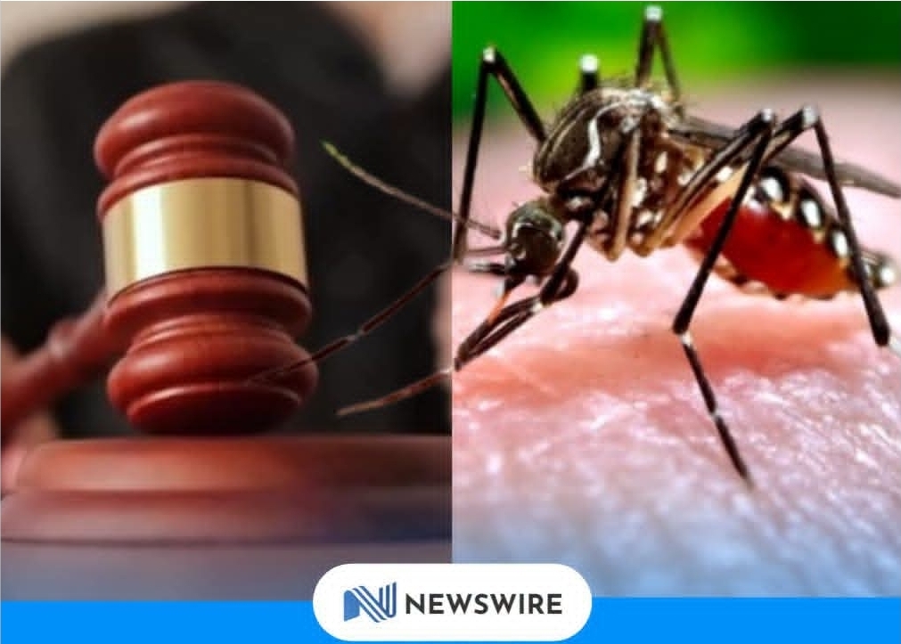 4,600+ Already Prosecuted as Police Intensify Dengue Crackdown