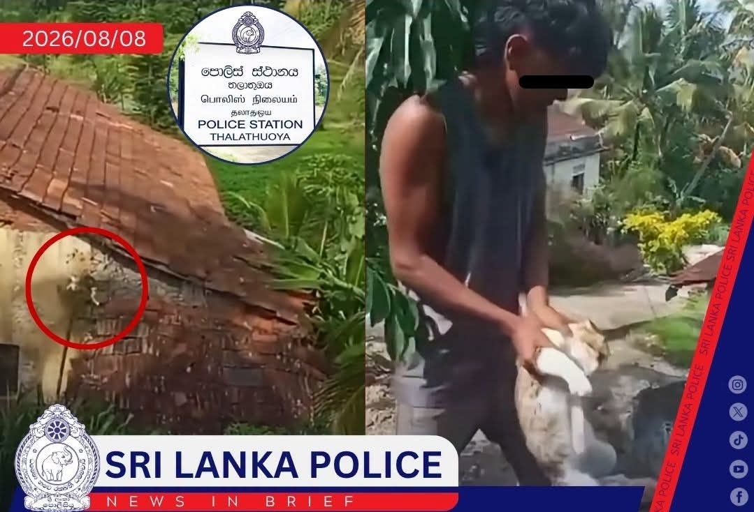 Two suspects arrested after viral cat cruelty video