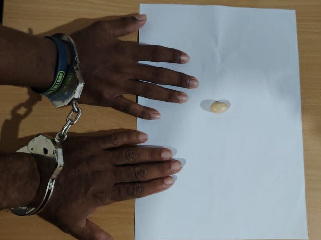 Two arrested for attempting to sell elephant tusk fragment for Rs. 800,000