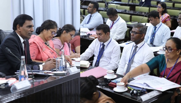 Committee reviews police measures to combat cybercrime and online fraud