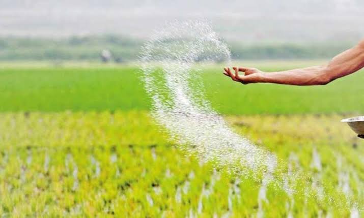Government approves fertilizer subsidy for paddy farmers for 2026/27 Maha season