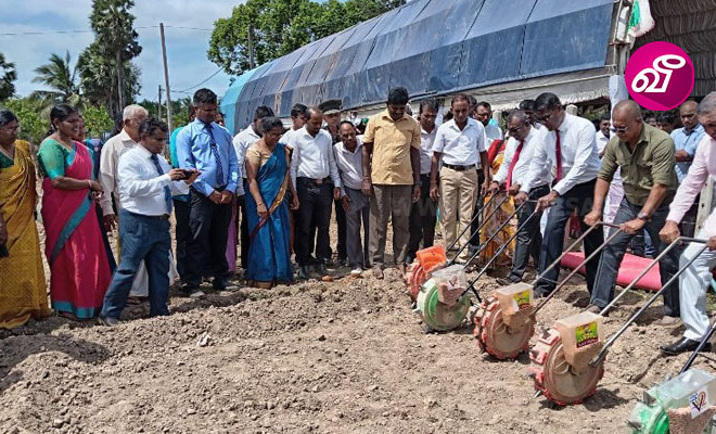 திருவையாறு பகுதியில் ‘பிடியளவு கமநிலம்’ திட்டத்தில் நடப்பட்ட 600 தென்னங்கன்றுகள் காணாமல் போனதாக குற்றச்சாட்டு!
